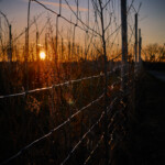 Sonnenuntergang und Zaun