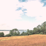 Auf der Halbinsel Mönchgut - Rügen