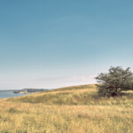 Auf der Halbinsel Mönchgut - Rügen