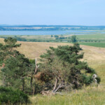 Auf der Halbinsel Mönchgut - Rügen