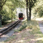 Rasender Roland auf Rügen